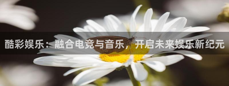 极悦平台游戏官网平台入口