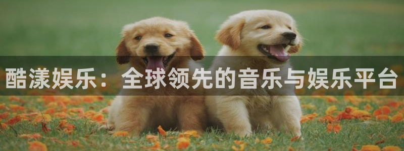 极悦平台app网页入口