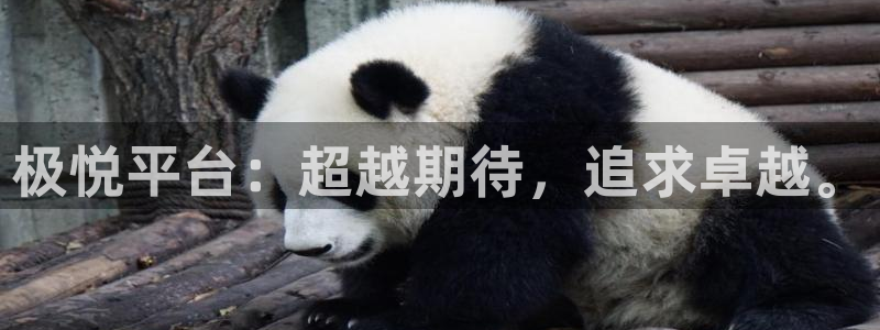 极悦平台.com