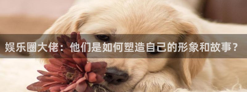 壹号国际app免费下载安装