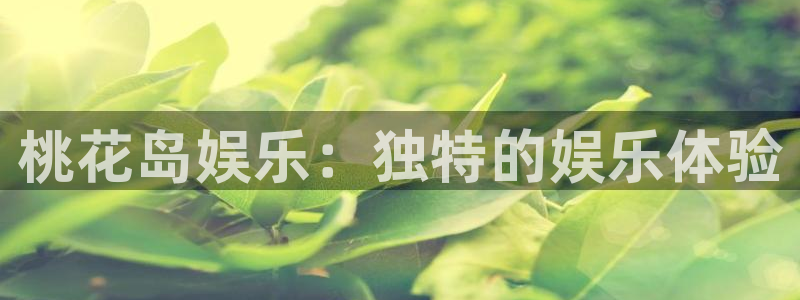 极悦平台网站平台登录