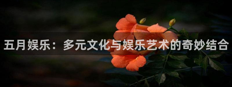 极悦平台(com.youad.authst)