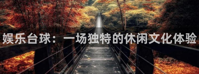 极悦平台下载二维码