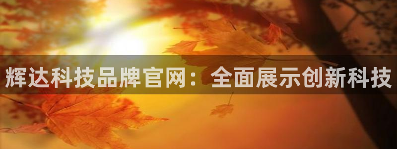 极悦平台下载链接