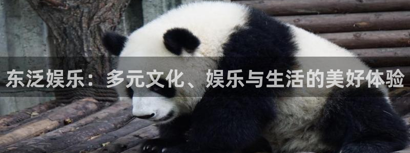 壹号电子娱乐app下载最新版