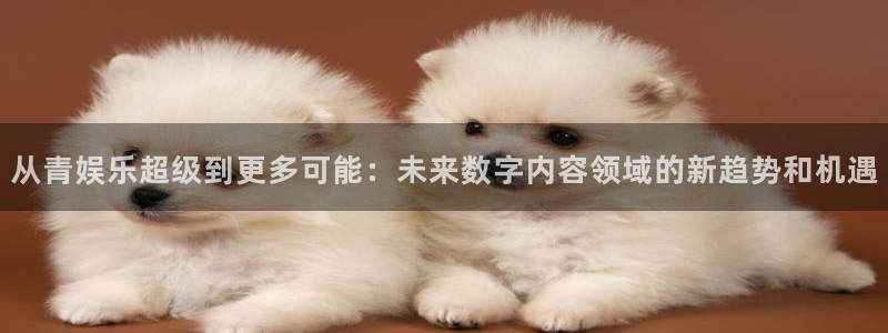 极悦平台下载并安装