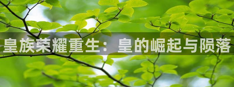 壹号大舞台有梦你就来