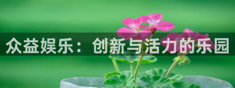 极悦平台注册网页版