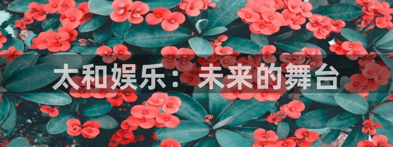 极悦平台官网入口
