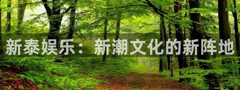 极悦平台,com：新泰娱乐：新潮文化的新阵地