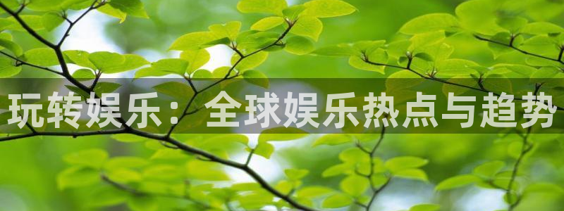 极悦平台的平台：玩转娱乐：全球娱乐热点与趋势