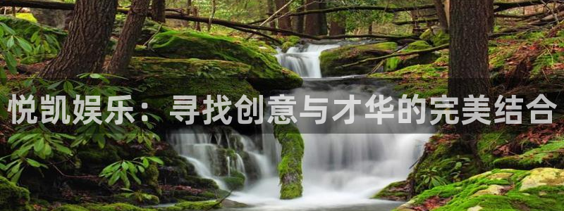 极悦平台游app：悦凯娱乐：寻找创意与才华的完美结合