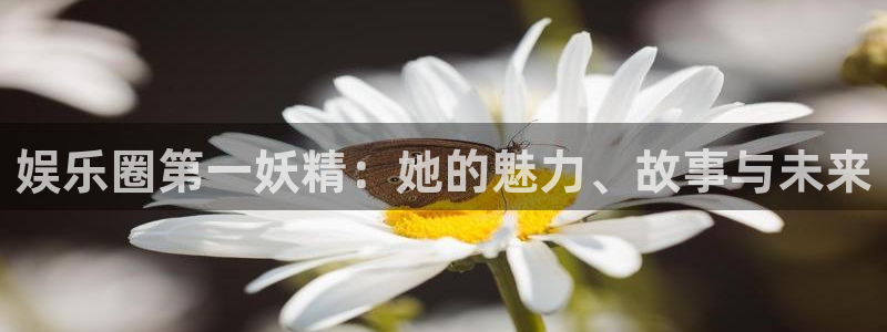 极悦平台官网：娱乐圈第一妖精：她的魅力、故事与未来