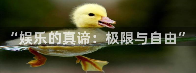 极悦平台怎么下载：“娱乐的真谛：极限与自由”
